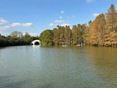 -上海海湾国家森林公园