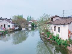 -状元楼(金溪路店)