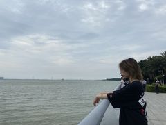 -大湾区中央湿地公园