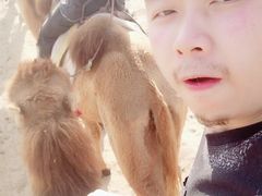 -黄沙古渡原生态旅游区