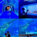 重庆周末|超🈶️feel 情侣拍照绝绝子