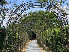 -福建鲤鱼洲酒店