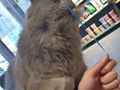 -木沐影咖(鑫乐汇购物广场店)