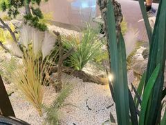 -同庆楼(天鹅酒家店)