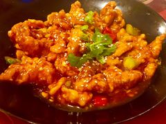 -熊猫川菜馆 panda chine