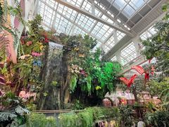 -正佳雨林生态植物园