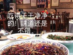 -新概念来凤鱼(璧山店)