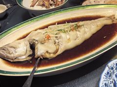 -金狮麟·新豫菜(金码大厦店)