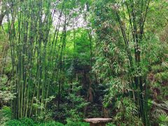 -凤栖山