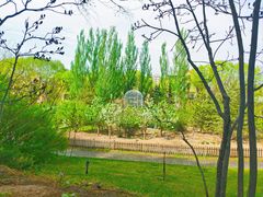 -观澜小洱海