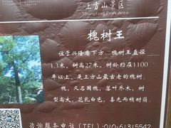 -北京上方山国家森林公园