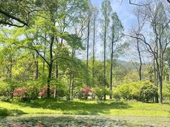 -杭州植物园