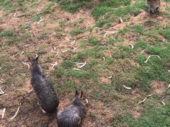 -云南野生动物园