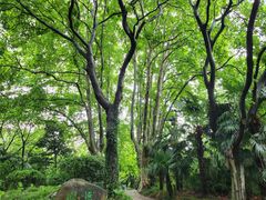 -采石矶景区