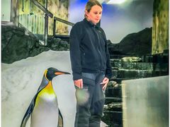 -悉尼海洋生物水族馆