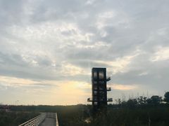 -春花秋色城市公园