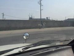 -胜华驾校·小猫学车(银都店)