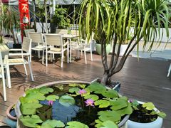 -813芭依珊 BAESAn(皇冠十畝地店)