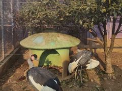 -无锡动物园·太湖欢乐园