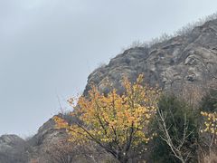 -定都峰