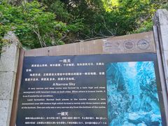 -黑河国家森林公园