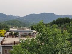 -梨木台悦来客农家院