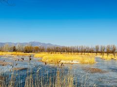 -野鸭湖国家湿地公园