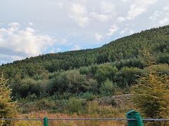 -塞罕坝国家级自然保护区