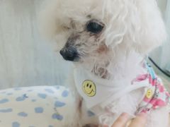 -爱派特动物医院·全科诊疗中心