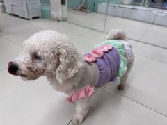 -怪兽屋·羊驼·猫咖·狗咖(俊华广场店)