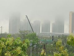 -巴犀烧烤(新崇光店)