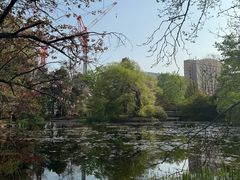 -北海道厅旧本厅舍(旧本庁舎)