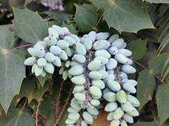 -杭州城北体育公园