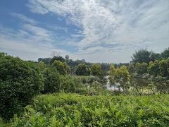 -张坝桂圆林公园