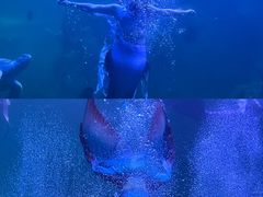 -左海海底世界