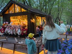 -长白岛森林公园