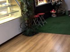 -Husky Go! 哈士奇体验馆·宠物咖啡厅狗咖