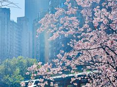 -静安雕塑公园