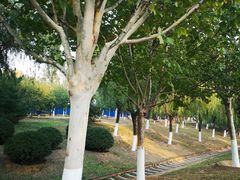 -永定河休闲森林公园