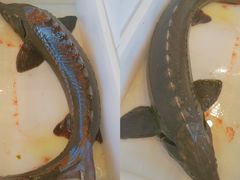 -江湖水乡铁锅炖魚(周庄嘉园店)