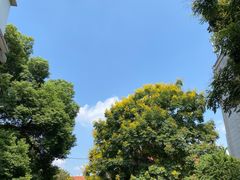 -飞马旅黎黄陂路文旅街区