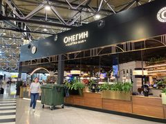 -谢列梅捷沃国际机场