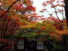 -常寂光寺