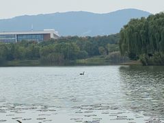 -江南大学(蠡湖校区)