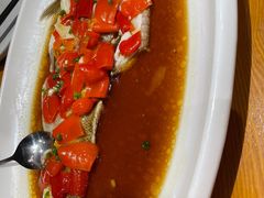 -丹江渔村(望京店)