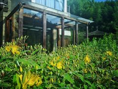 -莫干山风景区