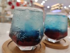 -喵园·猫主题咖啡厅·撸猫·猫咖(国贸店)