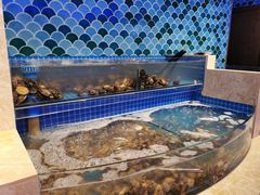 水产区-乔哥铭洋海鲜自助(皇城恒隆广场店)