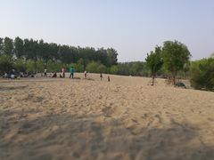 -东郊湿地公园