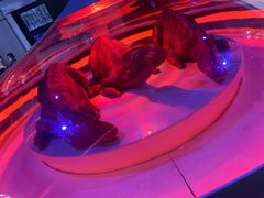 -侏罗纪世界电影特展(广州站)
